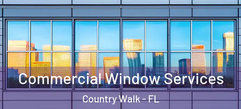 Commercial Window Services Country Walk - FL