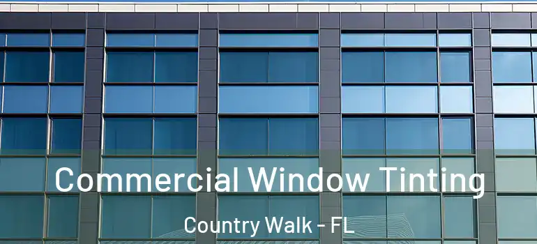 Commercial Window Tinting Country Walk - FL