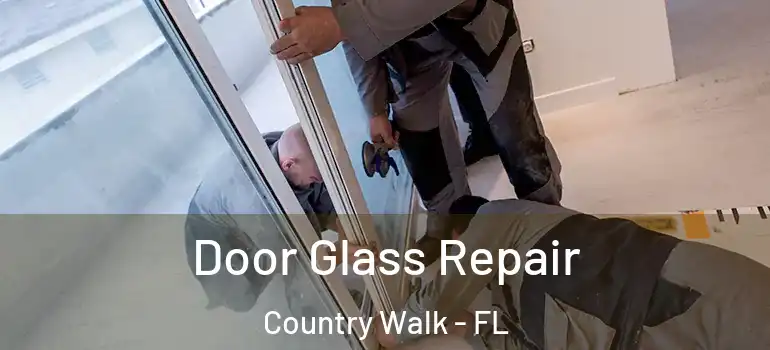 Door Glass Repair Country Walk - FL