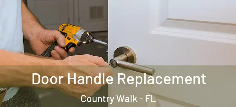 Door Handle Replacement Country Walk - FL