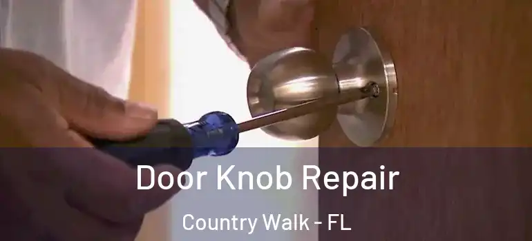 Door Knob Repair Country Walk - FL