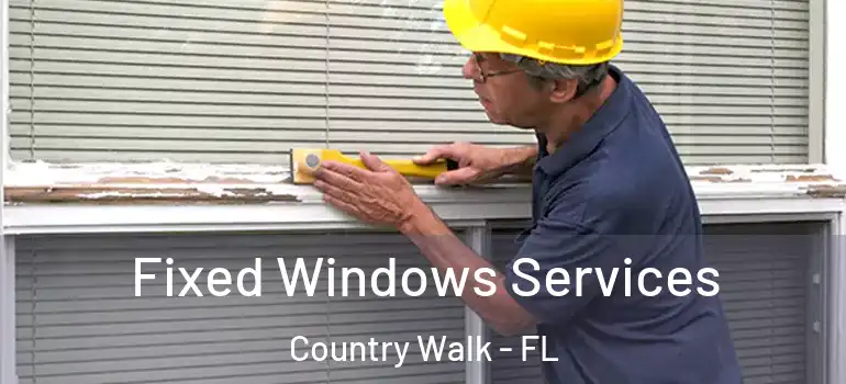 Fixed Windows Services Country Walk - FL