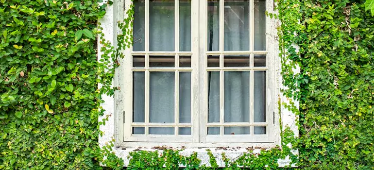 Garden Window Repair Near Me in Country Walk, FL