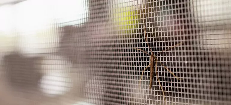 Repair Mosquito Mesh For Windows in Country Walk, FL