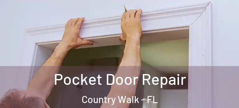 Pocket Door Repair Country Walk - FL