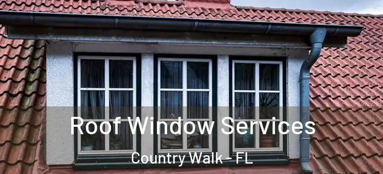 Roof Window Services Country Walk - FL