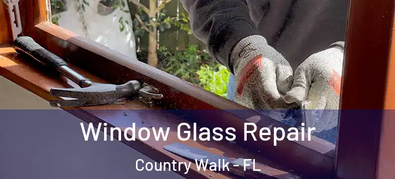 Window Glass Repair Country Walk - FL