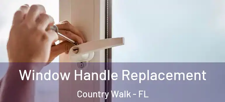 Window Handle Replacement Country Walk - FL