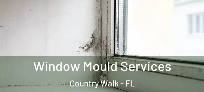 Window Mould Services Country Walk - FL