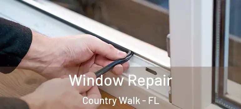 Window Repair Country Walk - FL