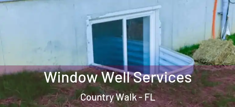 Window Well Services Country Walk - FL